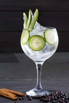 Copa Gin Tonic
