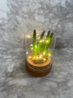 Campana Decorativa con Luces LED y Planta Artificial. COD: 3762. - comprar online