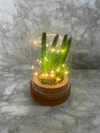 Campana Decorativa con Luces LED y Planta Artificial. COD: 3762.