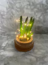 Campana Decorativa con Luces LED y Planta Artificial. COD: 3762.