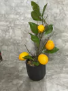 Árbol Decorativo de Limones Artificiales en Maceta. COD: 3763.