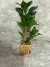 Planta decorativa artificial con maceta tejida. COD: 3764.