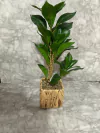 Planta decorativa artificial con maceta tejida. COD: 3764.
