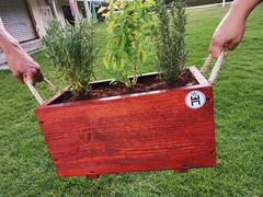 Mini huerto "Anti achaques" (Medicinal)