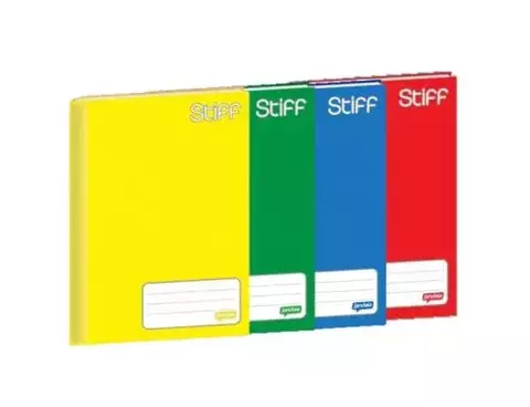 CADERNO BROCHURÃO 96 FOLHAS CORES