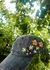 Gorra Mariana - comprar online