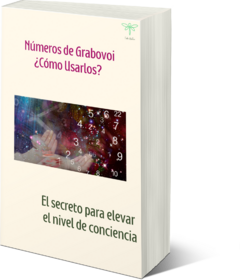 Imagen de Números de Grabovoi - ¿Cómo usarlos? - Libro para iniciarse en ésta técnica.