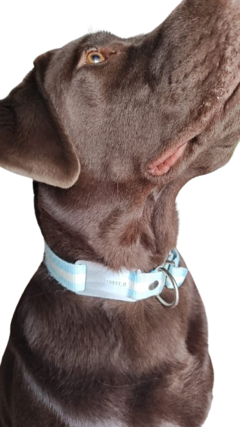 Sanar Mascotas con Secuencia de Grabovoi - Perros y Gatos, mascotas en general - FabiAkitsu8