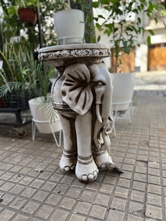 Elefante Alto - Su Florista