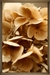Kit 2 quadros - floral amarelo - 90X60