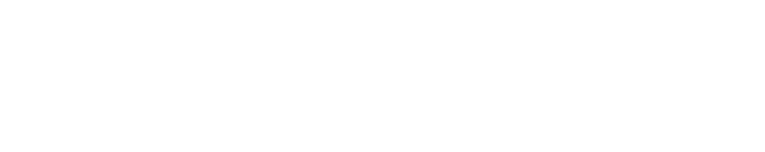 Amanhecer Professional