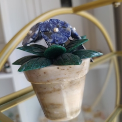 VASO DE VIOLETA na internet