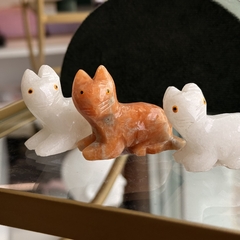 GATO MINIATURA na internet