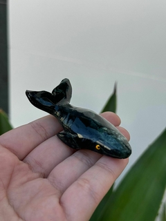 BALEIA MINIATURA na internet