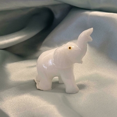 ELEFANTE MINIATURA - Nova Topázio
