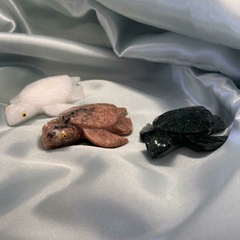 TARTARUGA MINIATURA
