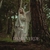 Banner de A Floresta disse...
