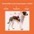 Buzo Adidog Woofy en internet