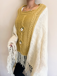 PONCHO BEGONIA en internet