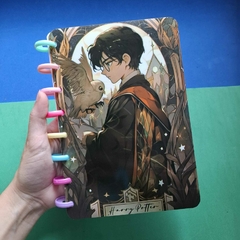 Caderno de Discos Harry Potter - comprar online