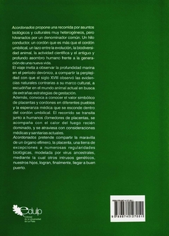Acordonados - comprar online