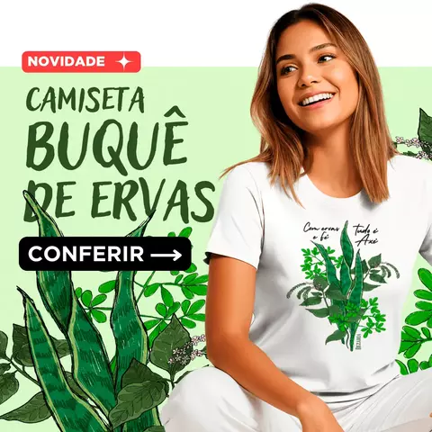 Carrossel 1