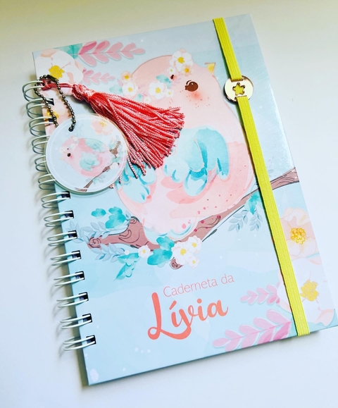 Caderneta de Vacinas - Passarinho