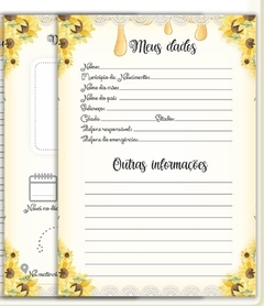 Caderneta de Vacinas - Abelhinha - comprar online