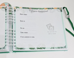 Livro do Bebê - Dinossauro Menino na internet