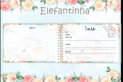 Álbum Mesversário - Elefante Menina na internet