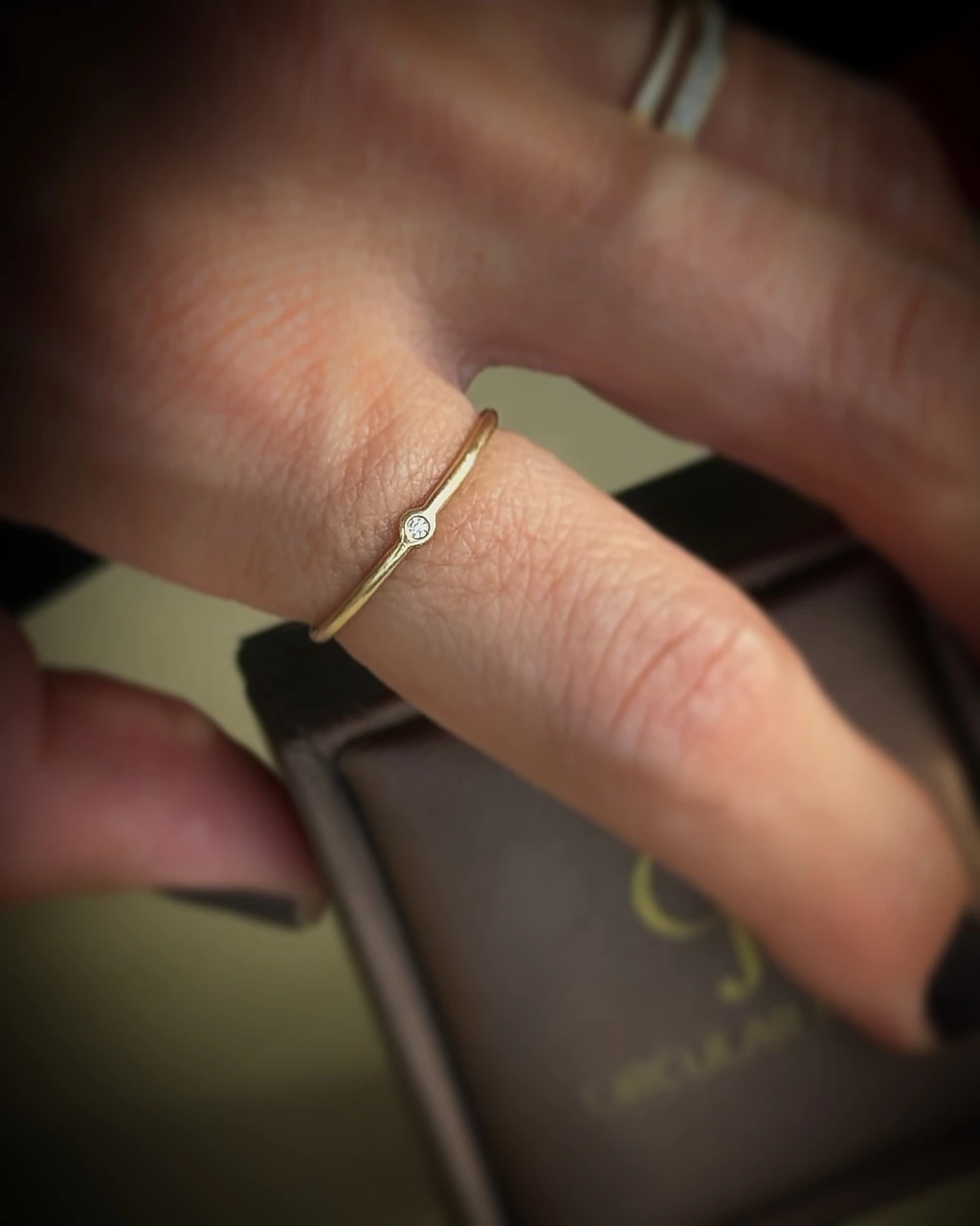 Antônio Bernardo. - Aliança Dany com Diamante