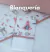 Blanquerería