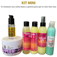 RUTINA KIT PROTECCION DEL COLOR en internet