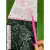 Livro de Raspar - Unicórnio - comprar online