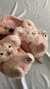 Imagen de Pantuflas Peluche