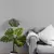 1009914 Papel de Parede Brilhante MATIZES | 53cm x 10m - comprar online