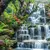 FLT32 - Painel Floresta