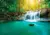 FLT14 - Painel Floresta - comprar online