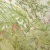SU071 Painel Floresta - Coleção "Brisa" - loja online