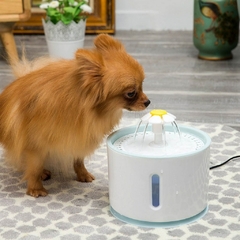 Fonte de água para gatos e cachorrinhos pequenos