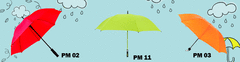 Banner de la categoría Paraguas