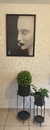 Imagen de Cuadros decorativos (precio 1 cuadro)