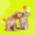 Pets