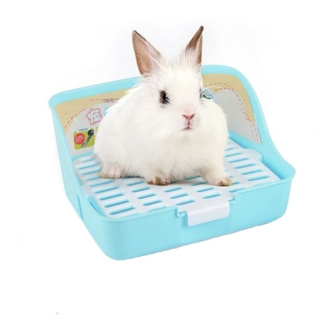 Banheiro Sanitário Para Roedores Mundo Roedor Rabbith Toilet - AZUL