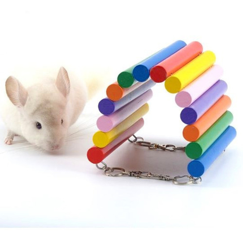 Ponte Casinha Mundo Roedor Golden Gate Para Gaiola Hamster