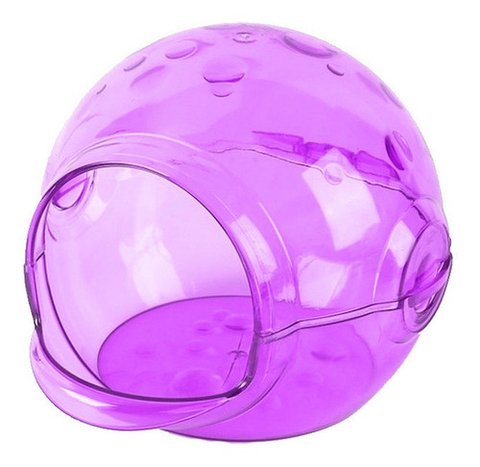 Sanitário Banho Banheiro Mundo Roedor Bath Cave G Para Chinchila