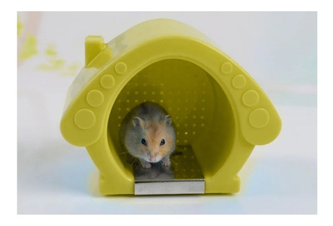 Toca Casinha Refrescante Mundo Roedor Summer House Hamster - Amarelo