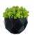 Vaso Sextavado