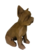 Dog Yorkshire Terrier low poly - YAAH CUBE