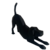 Imagem do Dog Beagle
